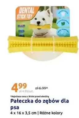 Action Pałeczka do zębów dla psa Dental Stick Toy 4x16x3,5cm oferta