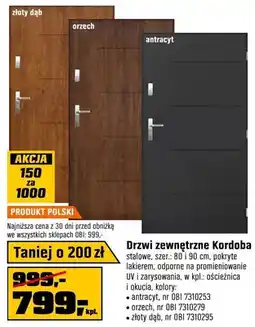 OBI Drzwi zewnętrzne Kordoba złoty dąb oferta