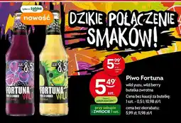 Żabka Piwo Fortuna Wild wild yuzu oferta