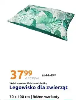 Action Legowisko dla zwierząt 70x100cm oferta