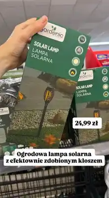 Biedronka Lampa solarna ogrodowa Gardenic z efektownie zdobionym kloszem oferta