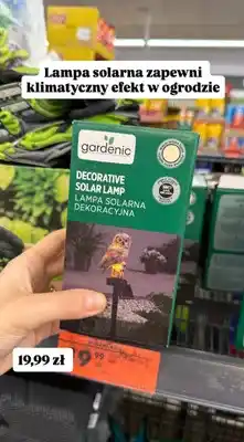 Biedronka Lampa solarna dekoracyjna Gardenic oferta