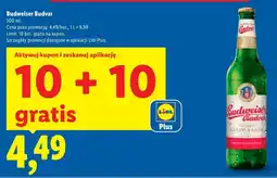 Lidl Budweiser Budvar oferta