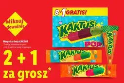 Lidl Wszystkie lody KAKTUS oferta