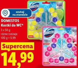 Lidl DOMESTOS Kostki do WC oferta