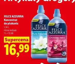 Lidl FELCE AZZURRA Koncentrat do płukania oferta