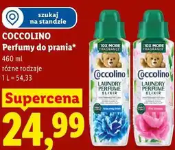 Lidl COCCOLINO Perfumy do prania oferta