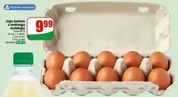 Dino Jaja świeże z wolnego wybiegu oferta