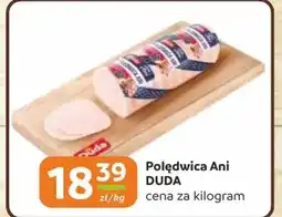 Gama Polędwica Duda oferta