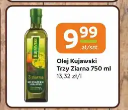 Gama Olej Kujawski oferta