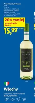 Lidl Wino Pinot Grigio delle Venezie oferta