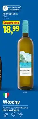Lidl Wino Pinot Grigio Garda oferta