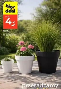 Dealz Doniczka wys. 29cm Ø34cm oferta
