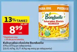 Auchan Kukurydza oferta