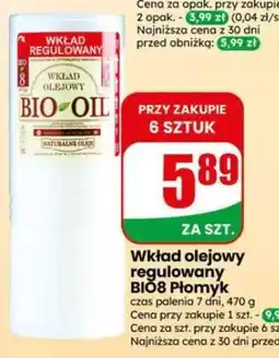 Dino Wkład olejowy regulowany BIO8 Płomyk oferta