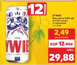 Kaufland Żywiec oferta