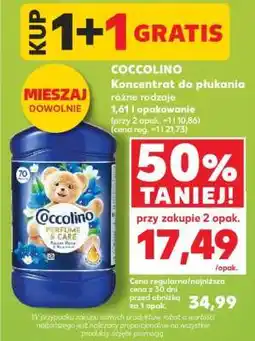 Kaufland COCCOLINO Koncentrat do płukania oferta