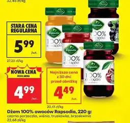 Biedronka Dżem 100% owoców Rapsodia czarna porzeczka oferta
