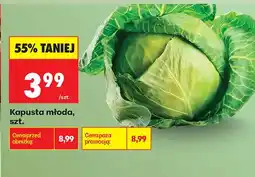 Biedronka Kapusta młoda oferta