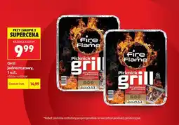 Biedronka Grill jednorazowy Fire & Flame Picknick oferta