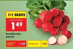 Biedronka Rzodkiewka pęczek oferta