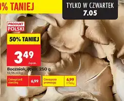 Biedronka Boczniak polski oferta