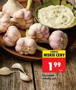 Biedronka Czosnek młody oferta