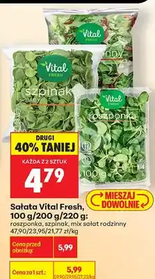 Biedronka Roszponka Vital Fresh oferta