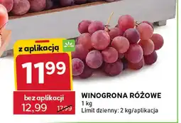 Stokrotka Winogrona różowe oferta
