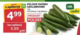 Stokrotka Ogórki szklarniowe polskie oferta