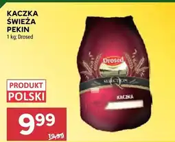 Stokrotka Kaczka świeża Pekin Drosed oferta
