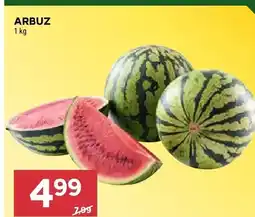 Stokrotka Arbuz oferta