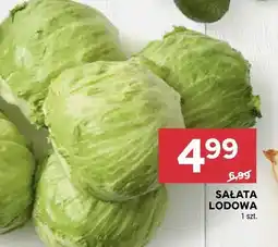 Stokrotka Sałata lodowa oferta