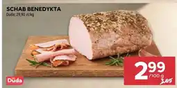 Stokrotka Schab Benedykta Duda oferta