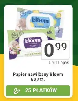 Stokrotka Papier nawilżany Bloom oferta