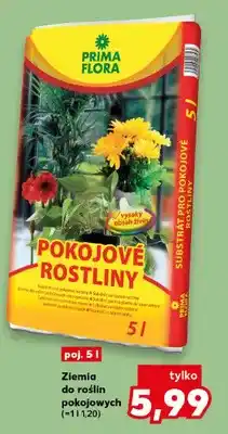 Kaufland Ziemia do roślin pokojowych Prima Flora oferta
