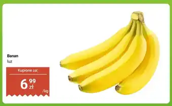 Dino Banan luz oferta