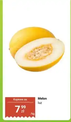 Dino Melon oferta