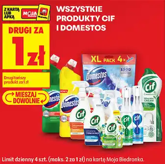 Biedronka Wszystkie Produkty CIF i Domestos oferta