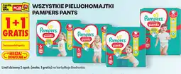 Biedronka Pieluchomajtki Pampers Pants oferta