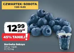 Netto Borówka Sekoya oferta