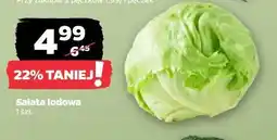 Netto Sałata lodowa oferta
