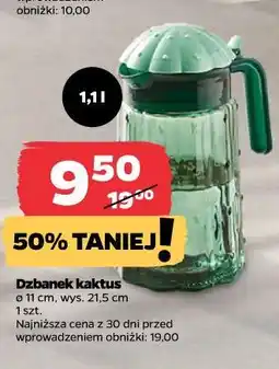 Netto Dzbanek kaktus oferta