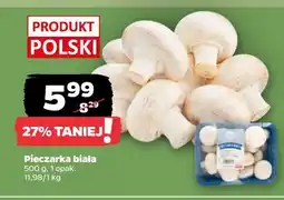 Netto Pieczarka biała oferta