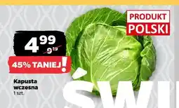 Netto Kapusta wczesna oferta