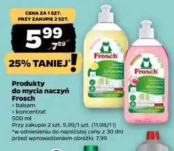 Netto Produkty do mycia naczyń Frosch oferta