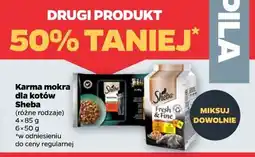 Netto Karma mokra dla kotów Sheba oferta