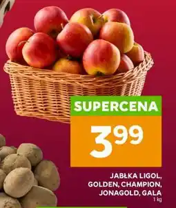 Stokrotka Market Jablka Ligol, Golden, Champion, Jonagold, Gala oferta