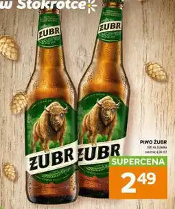 Stokrotka Market Piwo ŻUBR oferta