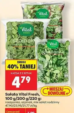 Biedronka Sałata Vital Fresh oferta